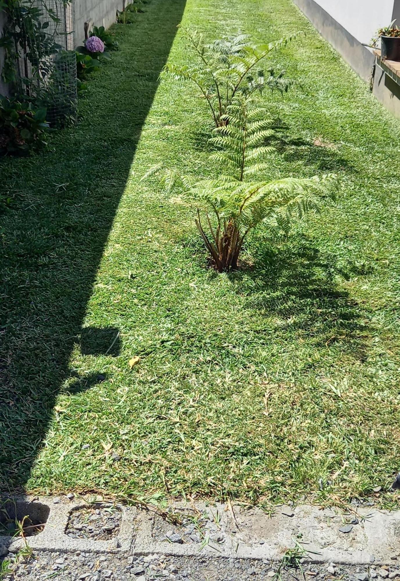 L'Etreinte Des Cimes Cilaos Exteriör bild